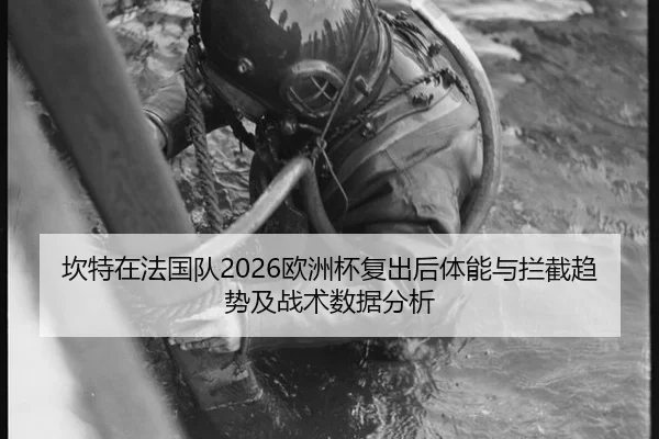 kan-te-zai-fa-guo-dui-ou-zhou-bei-fu-chu-hou-ti-neng-yu-lan-jie-qu-shi-ji-zhan-shu-shu-ju-fen-xi-2-195.jpg